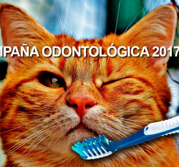 campaña-odontologica-2017