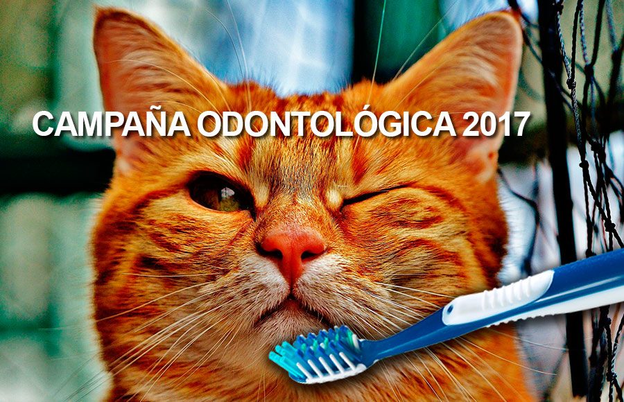campaña-odontologica-2017
